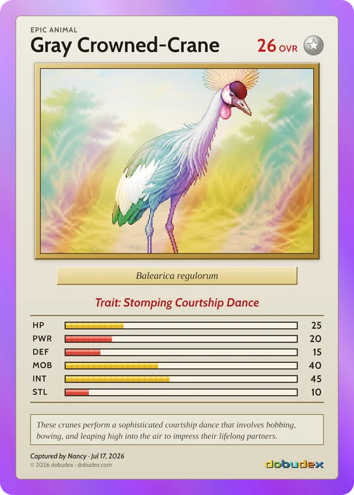 Epic dobudex card: Gray Crowned-Crane, in a holographic purple frame