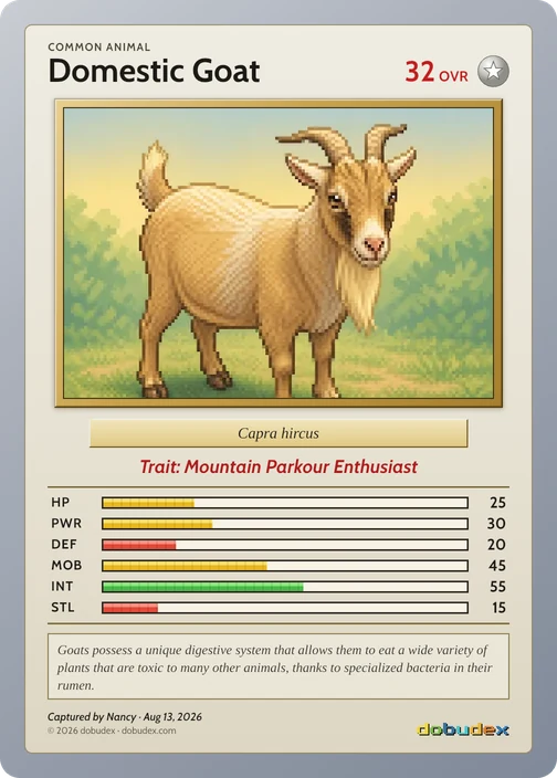 The Common Domestic Goat card dobudex drew from that scan