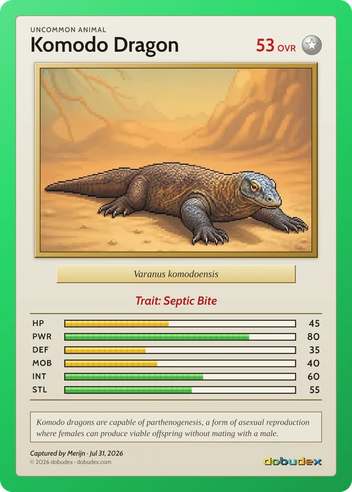 The Uncommon Komodo Dragon card dobudex drew from that scan