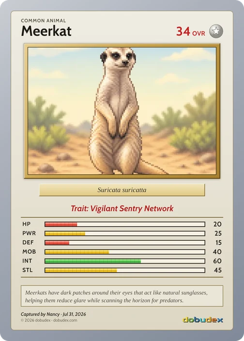 The Common Meerkat card dobudex drew from that scan
