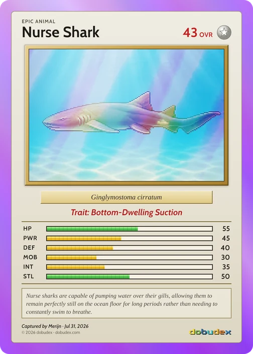 The Epic Nurse Shark card dobudex drew from that scan