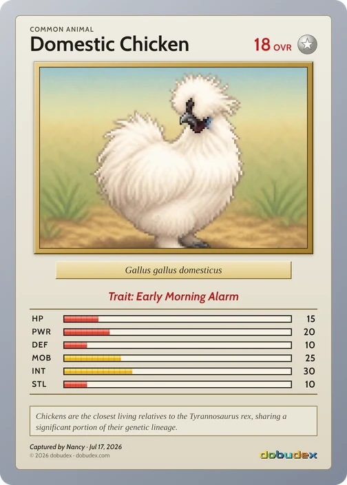 The Common Domestic Chicken card dobudex drew from that scan