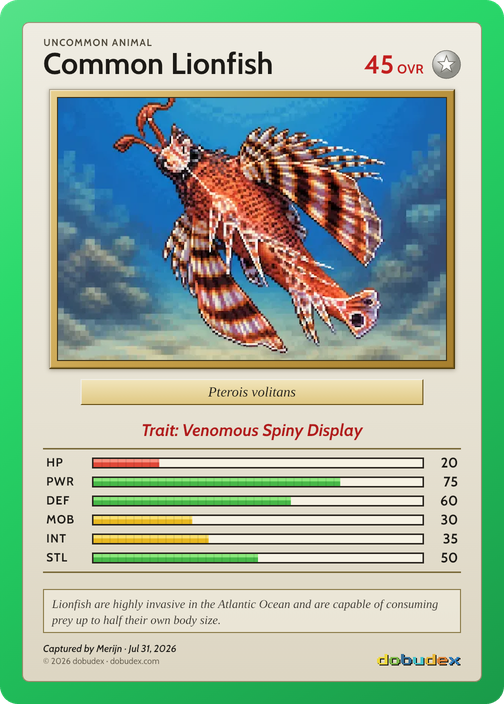 Common Lionfish card from Merijn’s saved scan, dated 31 July 2026