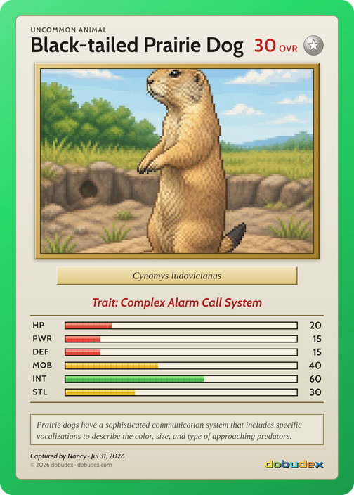 Black-tailed Prairie Dog card from Nancy’s saved scan, dated 31 July 2026