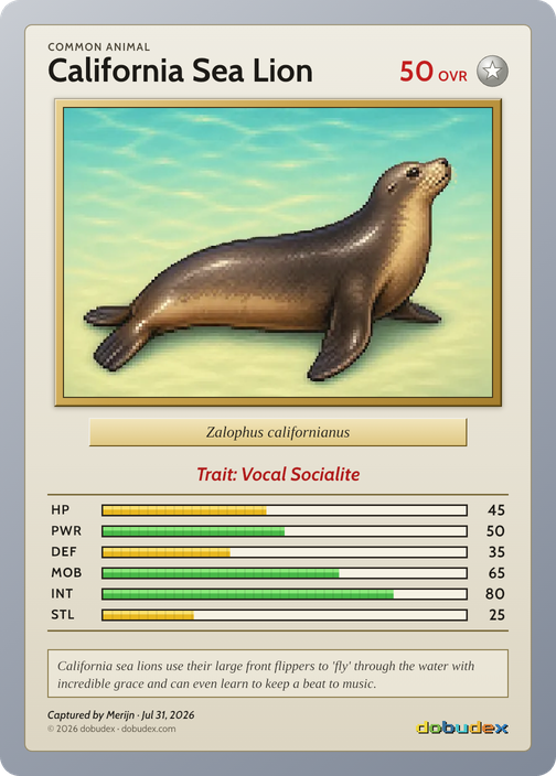California Sea Lion card from Merijn’s saved scan, dated 31 July 2026