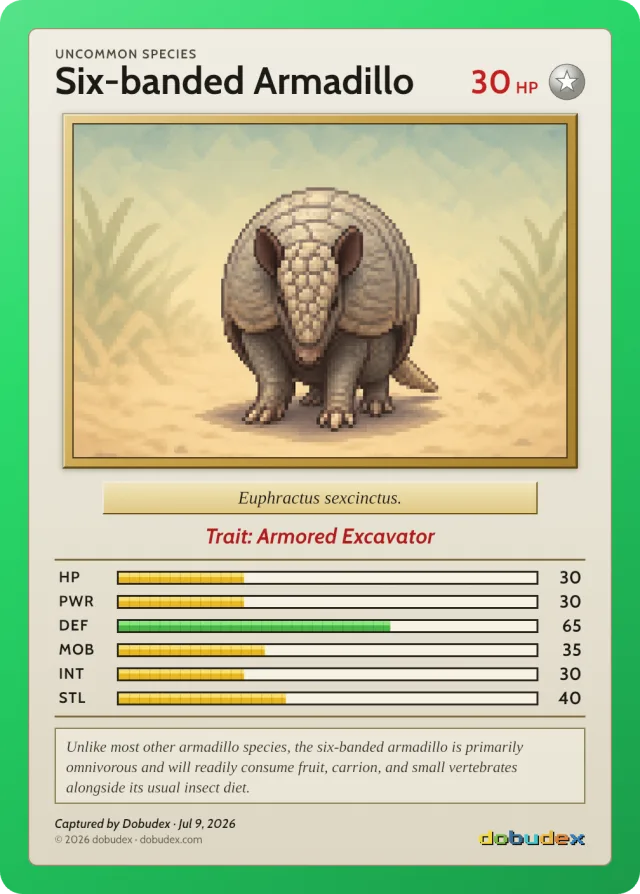 Uncommon dobudex card: Six-banded Armadillo, in a green frame