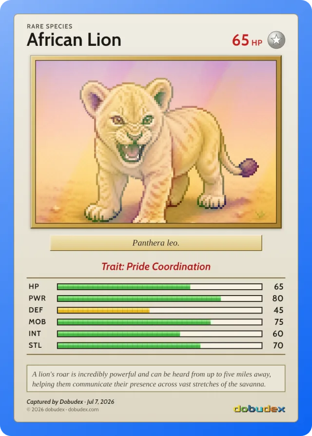 Rare dobudex card: African Lion cub, in a blue frame