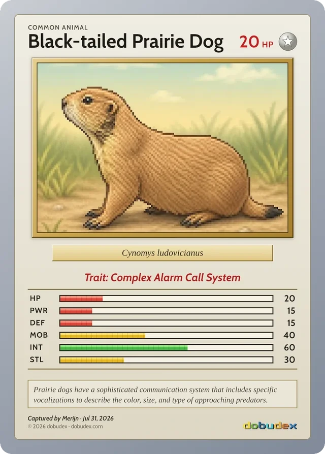 A Common dobudex card: a pixel-art Black-tailed Prairie Dog with six stats, its trait, and a biology fact