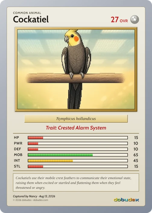 The Common Cockatiel card dobudex drew from that scan