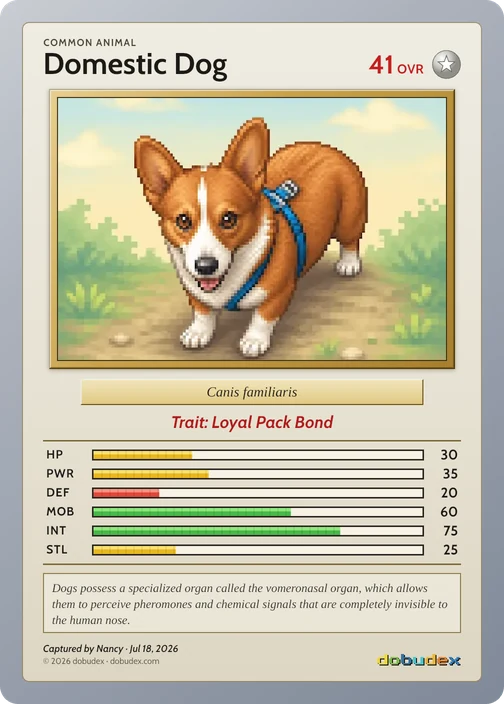 The Common Domestic Dog card drawn from that scan: the corgi, blue harness and all, with the trait Loyal Pack Bond