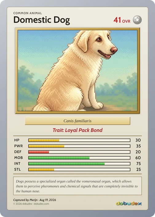 The Common Domestic Dog card dobudex drew from that scan