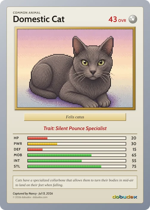 The Common Domestic Cat card dobudex drew from that scan