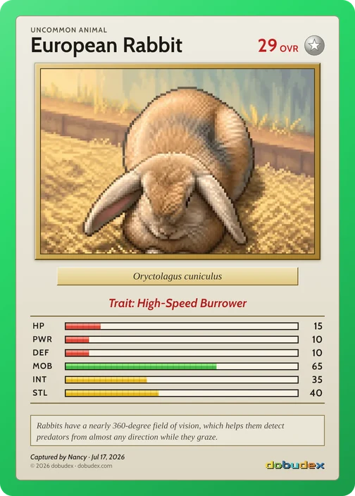 An Uncommon European Rabbit card drawn from a scan of a lop-eared rabbit, in a green frame
