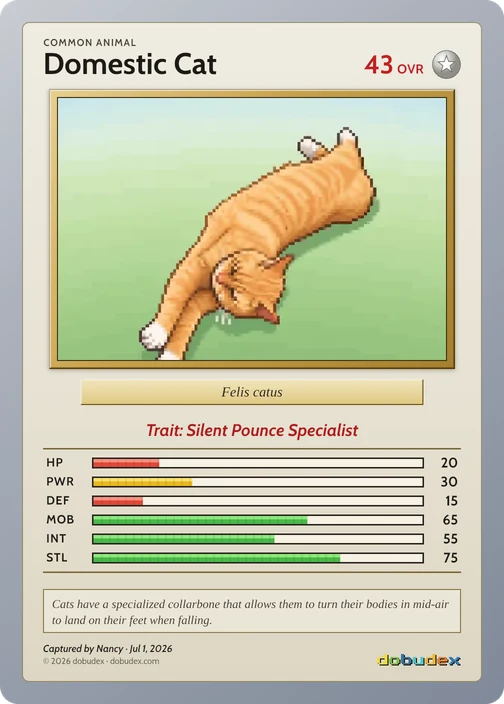 The Common Domestic Cat card dobudex drew from that scan