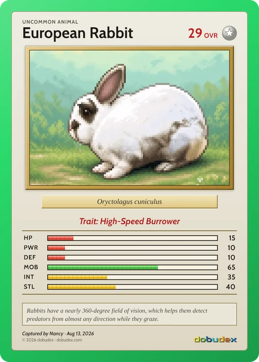 The Uncommon European Rabbit card dobudex drew from that scan