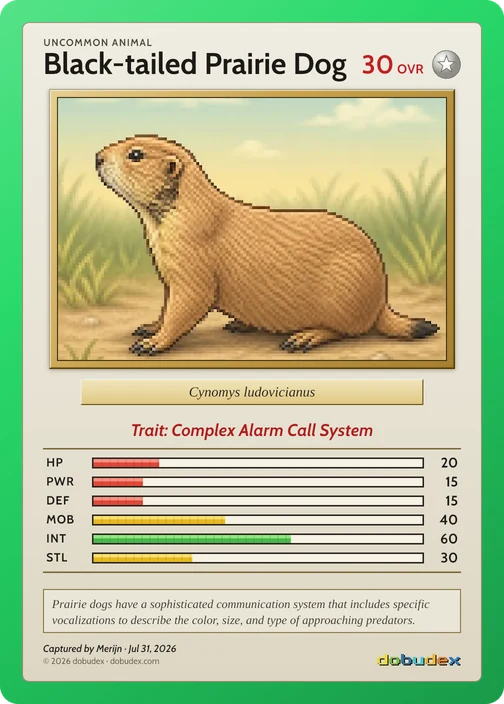 A dobudex card: a Black-tailed Prairie Dog, Uncommon animal, in a green frame, with six stats and the trait Complex Alarm Call System